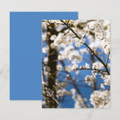 Carte De Correspondance Fleurs blanches devant un ciel blanc (Devant / Derrière)