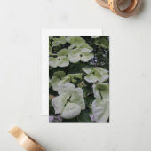 Carte De Correspondance Fleurs de bois de chien (Devant/Arrière en situation)