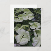 Carte De Correspondance Fleurs de bois de chien (Devant / Derrière)