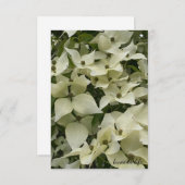 Carte De Correspondance Fleurs de bois de chien blanc (Devant / Derrière)