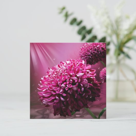 Carte De Correspondance Fleurs de dahlia (Debout devant)