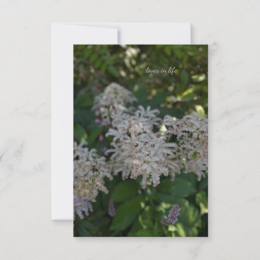 Carte De Correspondance Fleurs de jardin (Devant)