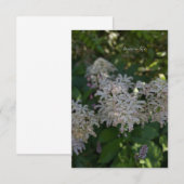 Carte De Correspondance Fleurs de jardin (Devant / Derrière)