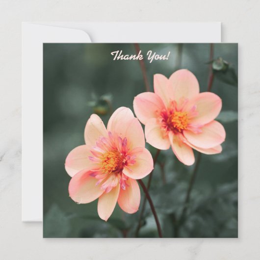 Carte De Correspondance Fleurs Douces Fond Vert Merci (Devant)