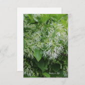 Carte De Correspondance Fleurs du jardin blanc (Devant / Derrière)