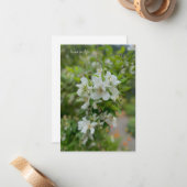 Carte De Correspondance Fleurs du jardin blanc (Devant/Arrière en situation)