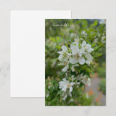Carte De Correspondance Fleurs du jardin blanc (Devant / Derrière)