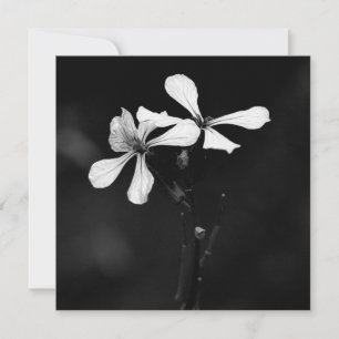 Carte De Correspondance floral noir et blanc minimaliste