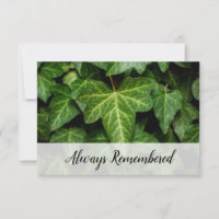 Florist Edition 🌿 Ivy Photo 'Toujours Souvenu'