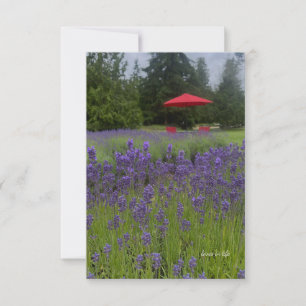 Carte De Correspondance Foggy Day, Lavenders & Red Umrella