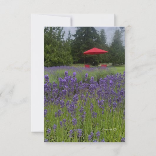 Carte De Correspondance Foggy Day, Lavenders & Red Umrella (Devant)