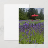 Carte De Correspondance Foggy Day, Lavenders & Red Umrella (Devant / Derrière)