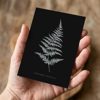 Carte De Correspondance Fougère dorée, Gymnogramma Chrysophylla