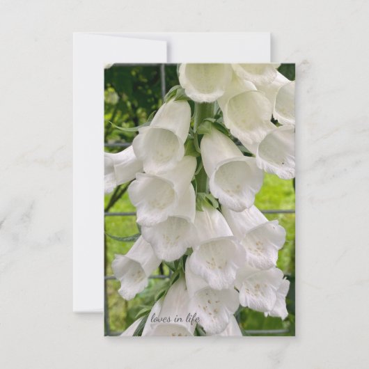 Carte De Correspondance Foxglove blanc (Devant)