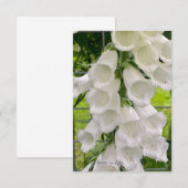 Carte De Correspondance Foxglove blanc (Devant / Derrière)