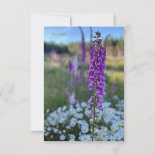 Carte De Correspondance Foxglove & Daisies (Devant)