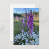 Carte De Correspondance Foxglove & Daisies (Devant / Derrière)