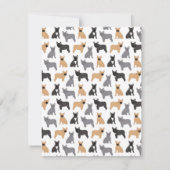 Carte De Correspondance Français Bulldog (Dos)