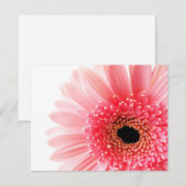 Carte De Correspondance Gerbera marguerite rose (Devant / Derrière)