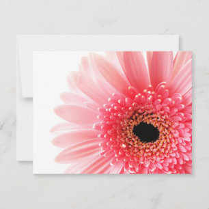 Carte De Correspondance Gerbera marguerite rose