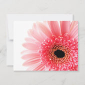 Carte De Correspondance Gerbera Rose Daisy (Devant)