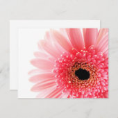 Carte De Correspondance Gerbera Rose Daisy (Devant / Derrière)