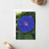 Carte De Correspondance Gloire du matin (Devant/Arrière en situation)