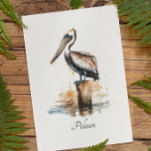 Carte De Correspondance Grâce du Pélican