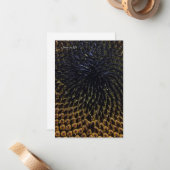 Carte De Correspondance Graines de tournesol noir (Devant/Arrière en situation)