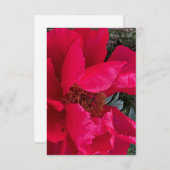 Carte De Correspondance Gros Gras Red Peony (Devant / Derrière)