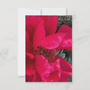 Carte De Correspondance Gros Gras Red Peony