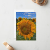 Carte De Correspondance Gros tournesol et ciel bleu (Devant/Arrière en situation)