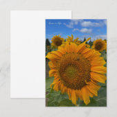 Carte De Correspondance Gros tournesol et ciel bleu (Devant / Derrière)
