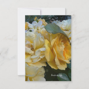 Carte De Correspondance Grosse Roses Jaunes Lumière