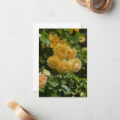 Carte De Correspondance Groupe de Roses de Jardin Jaune (Devant/Arrière en situation)