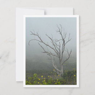 Carte De Correspondance Harmonie Ethereal