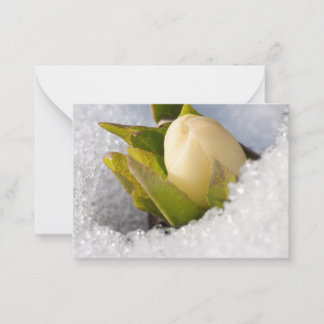 Carte De Correspondance Hellebore poussant à travers la neige,