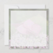 Carte De Correspondance Hello naissance souhaiter bienvenue saluer rose (Dos)