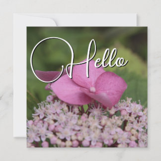 Carte De Correspondance Hello naissance souhaiter bienvenue saluer rose