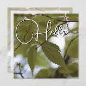 Carte De Correspondance Hello naissance souhaiter bienvenue saluer vert (Devant / Derrière)