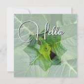 Carte De Correspondance Hello naissance souhaiter bienvenue saluer vert (Devant)