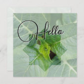 Carte De Correspondance Hello naissance souhaiter bienvenue saluer vert (Devant / Derrière)