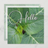 Carte De Correspondance Hello naissance souhaiter bienvenue saluer vert (Devant / Derrière)