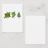 Carte De Correspondance Herbes, thème herbes (Devant / Derrière)