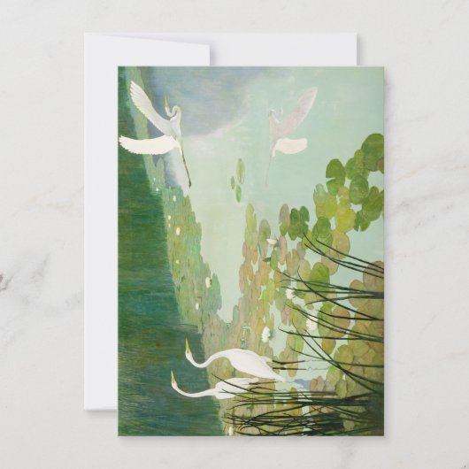 Carte De Correspondance Hérons en été par Newell Convers Wyeth (Devant)