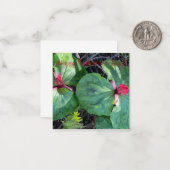 CARTE DE CORRESPONDANCE HEUREUSE SAINTE-VALENTIN ! (Devant/Arrière en situation)