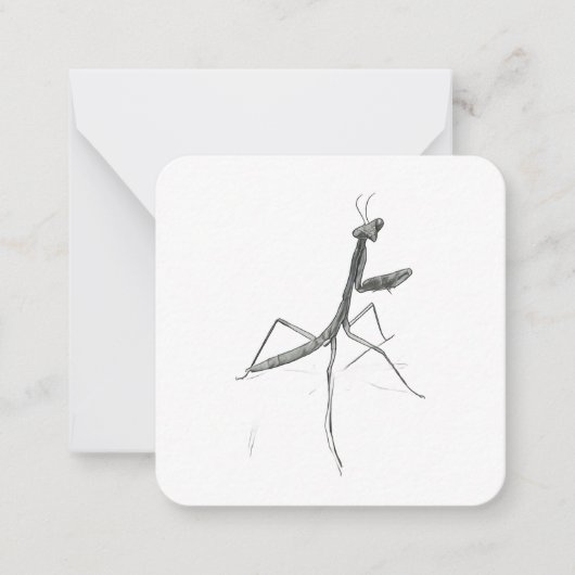 Carte De Correspondance Hi there! Praying Mantis (Devant)