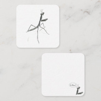Carte De Correspondance Hi there! Praying Mantis