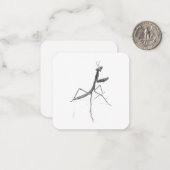 Carte De Correspondance Hi there! Praying Mantis (Devant/Arrière en situation)