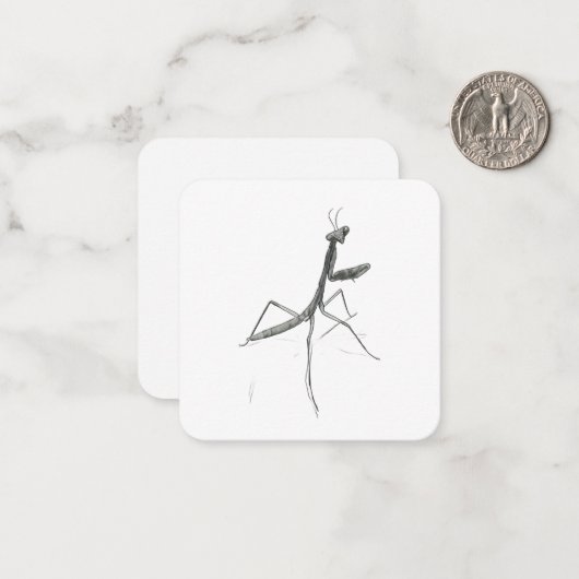Carte De Correspondance Hi there! Praying Mantis (Devant/Arrière en situation)